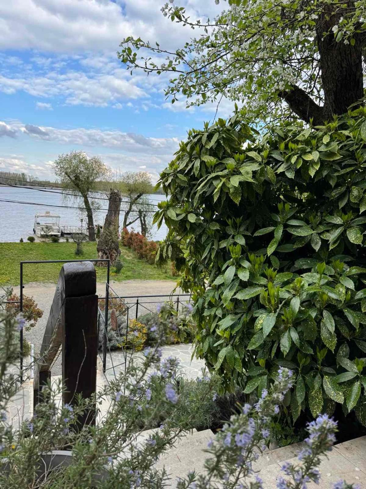 Bora Kuce Na Reci Vila Belgrado Exterior foto